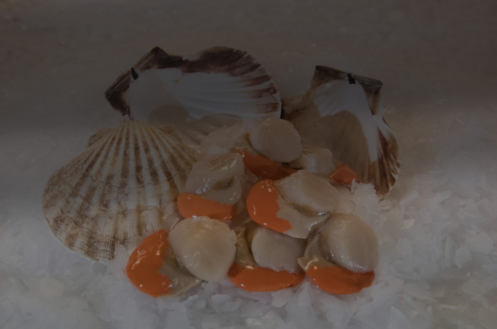 Shellfish & Scallops From Scotland West Coast Sea Products