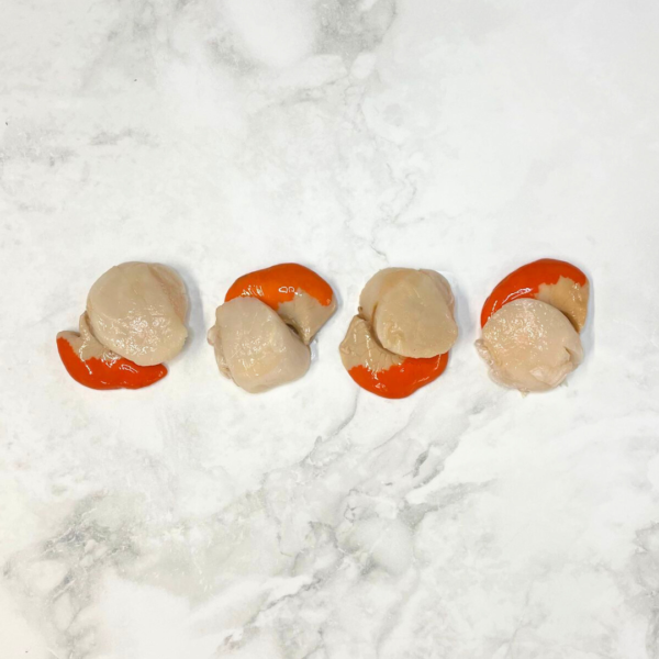Winkles - West Coast Sea Products Ltd - Wholesale Shellfish Suppliers