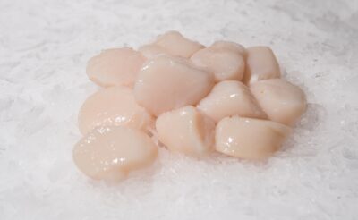 142050476_1986876301454341_544590237727458521_n