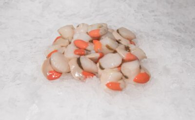 142766460_2534673540167728_4754633879851306482_n