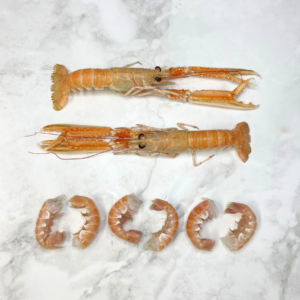 Tailed Langoustines