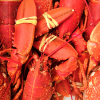 Image shows bright orange, freshly cooked lobsters with claws tied by elastic bands.